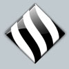  " "          ( )