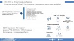      2019         ѻ -    () 