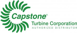           Capstone