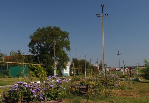      2012   5   