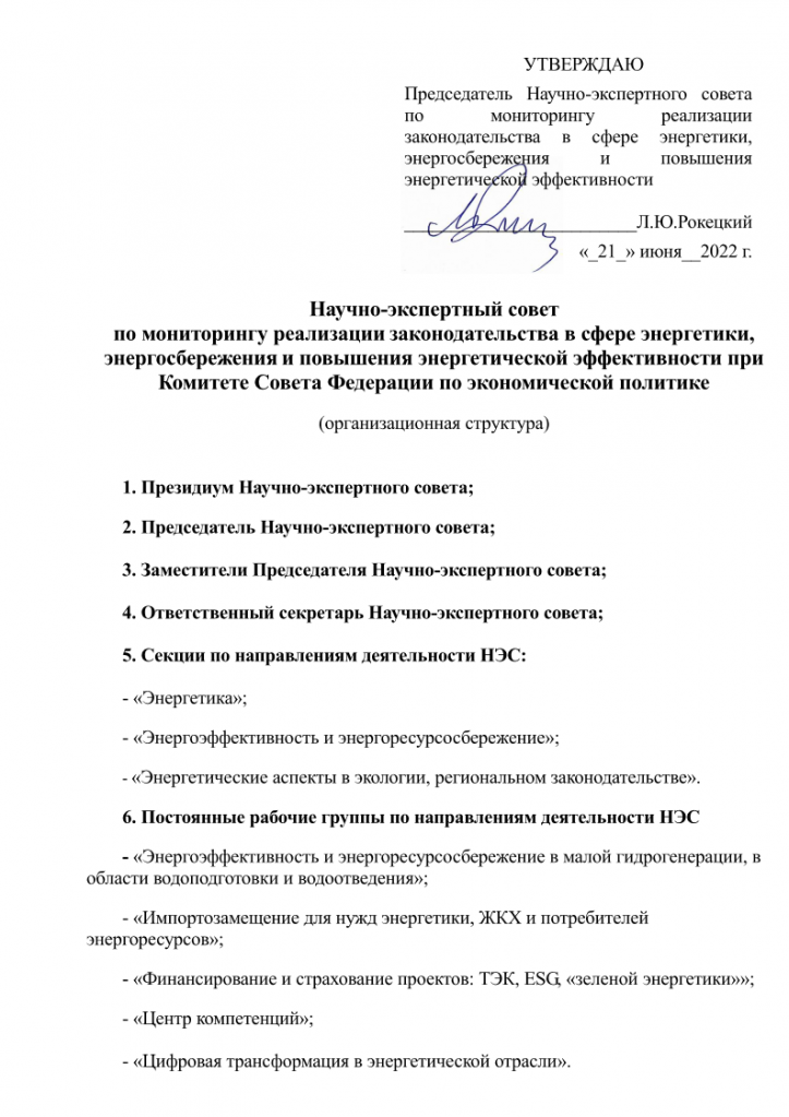 NES Organizacionnaya struktura_Page_1.png